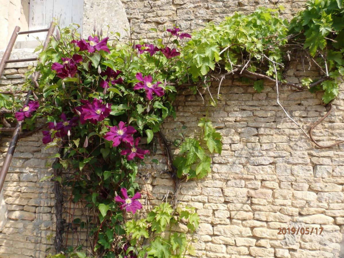 Safraniere De La Venelle Du Moulin Bed & Breakfast Jort Exterior foto